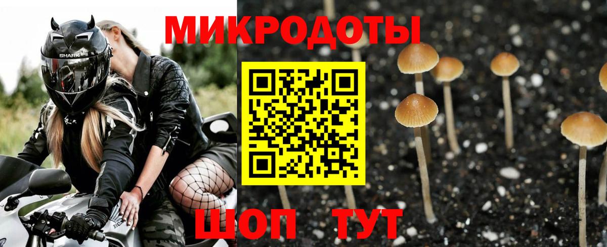 Псилоцибиновые грибы мицелий Серпухов